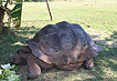 Photo Nosy Be - Madagascar